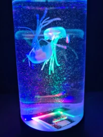 Kwallen Aquarium Klein 8 Kwallen Aquarium Klein - Afbeelding 6