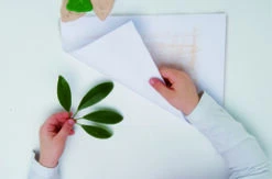 Beren Krijtjes 15 Beren Krijtjes -Speelgoed Voor Kinderen Winkel 38a55a91f606db27e66026d153f7e7af5d562272