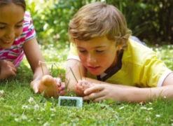 Green Science - AardappelKlok -Speelgoed Voor Kinderen Winkel 5106213e776ce9a3d38a1e7b982e1c9f23ac423f