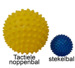 Edushape Tactiele StekeltjesBal -Speelgoed Voor Kinderen Winkel 587232d89fd5132d3f312b0051321697383e55ce