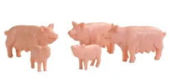 Nederlandse Boerderij - Varkens