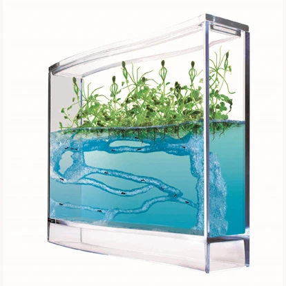 Antquarium / Mierenfarm 3 Antquarium / Mierenfarm