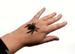 Insectenpotje Met Spin -Speelgoed Voor Kinderen Winkel 7c7a9170aa01508823aa3e39bb93d820c0586b5a