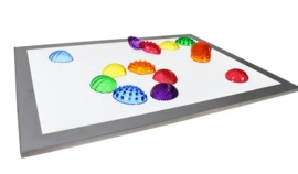 Transparante Schelpen Met Textuur 7 Transparante Schelpen Met Textuur - Afbeelding 5