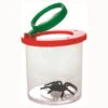 Insectenpotje Met Spin 2 Insectenpotje Met Spin -Speelgoed Voor Kinderen Winkel 89cec97540903f4ab3b152f21302899b9377525a