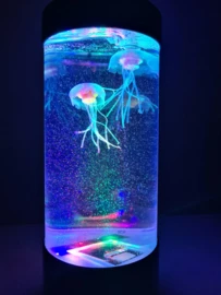 Kwallen Aquarium Klein 5 Kwallen Aquarium Klein - Afbeelding 3