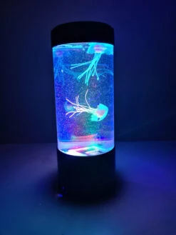 Kwallen Aquarium Klein