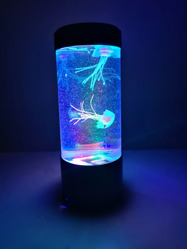 Kwallen Aquarium Klein 3 Kwallen Aquarium Klein