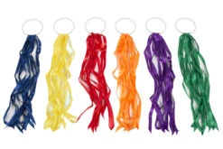 Regenboog Dansringen