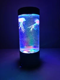 Kwallen Aquarium Klein 9 Kwallen Aquarium Klein - Afbeelding 7