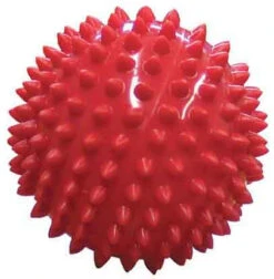 Edushape Tactiele StekeltjesBal