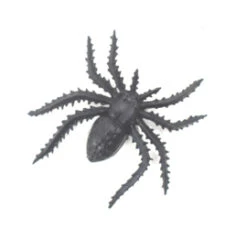 Insectenpotje Met Spin -Speelgoed Voor Kinderen Winkel ecefe37fdb0faa691f7a59b4efb864b6cefcae48