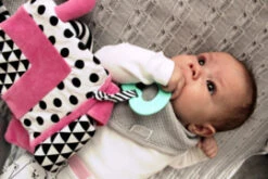 SoftBook Roze Mom's Care 13 SoftBook Roze Mom's Care -Speelgoed Voor Kinderen Winkel fbb38ade14527a386ecaa1d57879a8788bb9ebc6